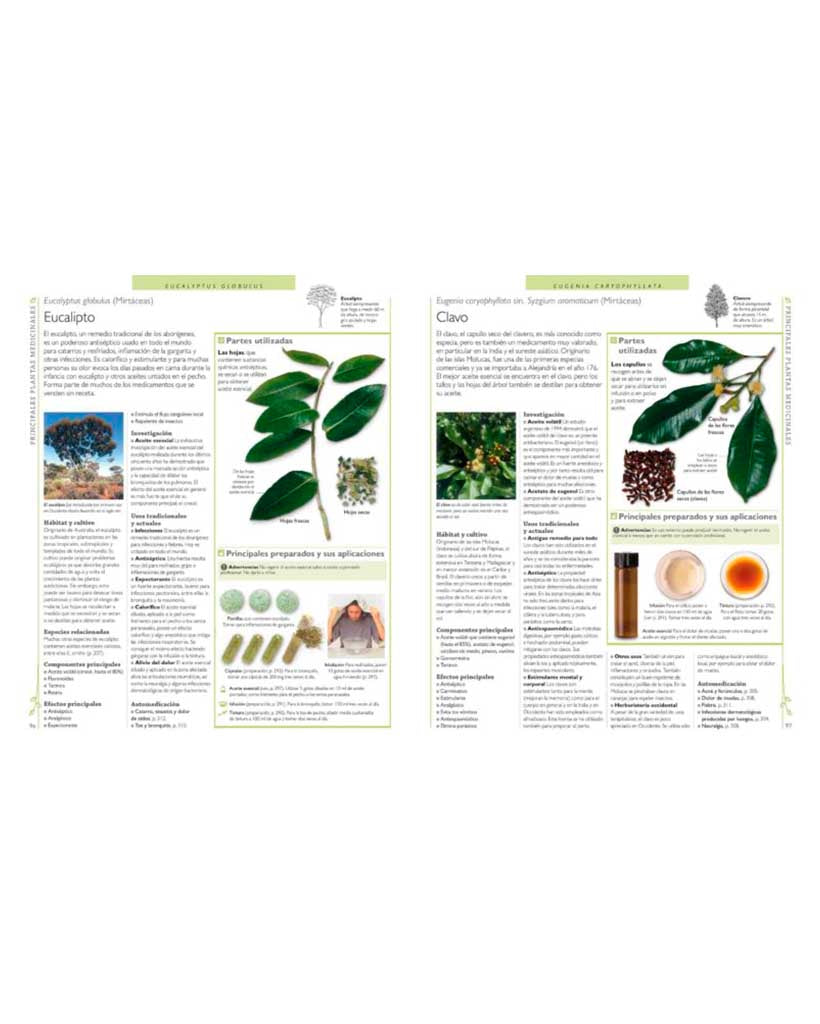 Enciclopedia de Plantas Medicinales - 19WA3742_2