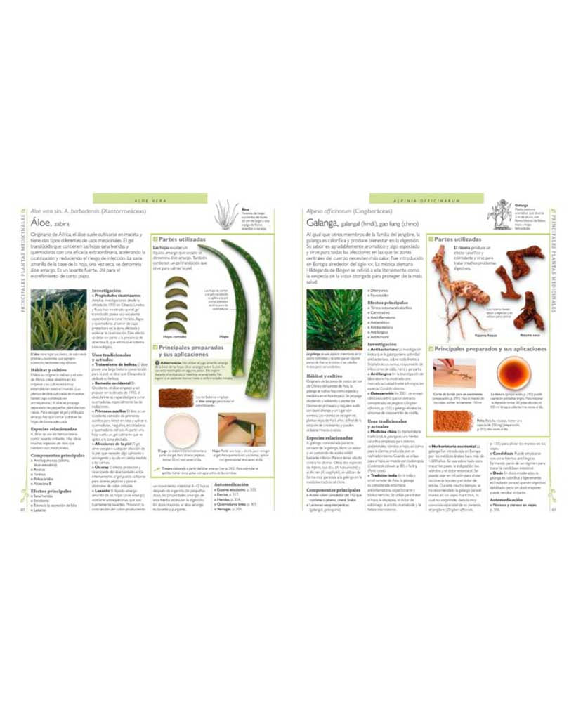Enciclopedia de Plantas Medicinales - 19WA3742_3