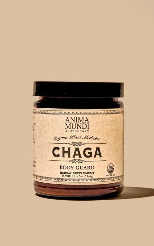 CHAGA | Body Guard